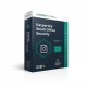 Kaspersky Small Office Security 3.0 5 Licencias